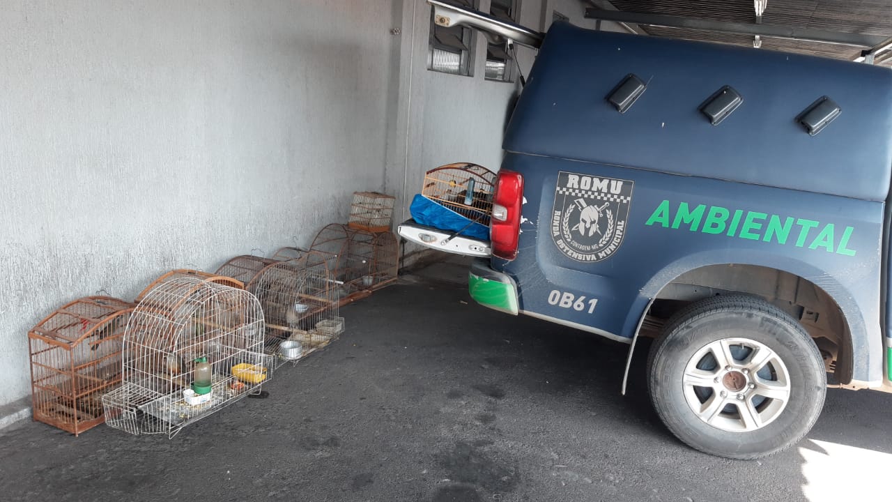 Animais são resgatados e encaminhados para cuidados pela Ambiental da Guarda Civil de Contagem